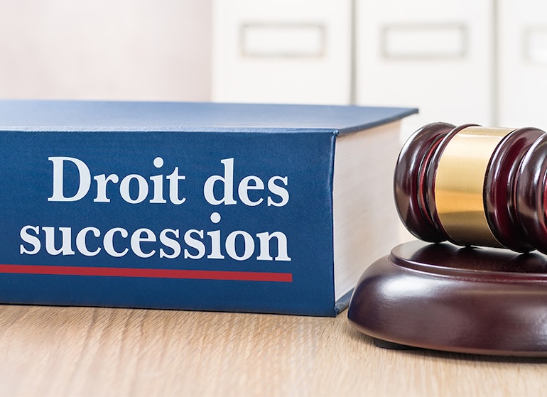 Droit de la famille, avocat en droit des successions, problèmes d'héritages, Maître Francine Beaujour, Avocat, Le Gosier, Marie-Galante, Basse-Terre, Guadeloupe